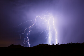 Branching lightning bolt strike from a storm