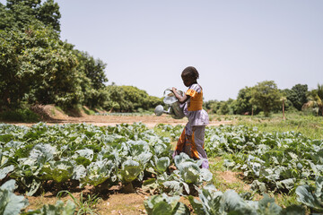 Serious small black African girl lifting a heavy metal watering can stanging in a cabbage field...