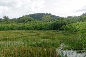 Les salines de Montjoly et le mont St-Martin en Guyane fran&ccedil;aise