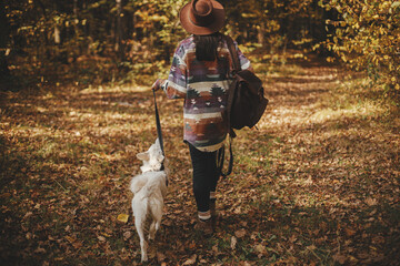 Stylish woman in hat and with backpack walking with cute dog in sunny autumn woods. Young female traveler hiking with swiss shepherd white dog in forest. Travel with pet. Back view