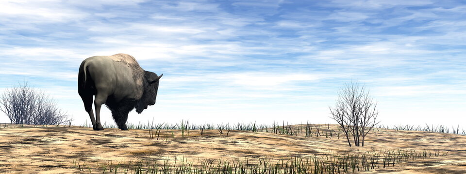 Bison standing in the desert - 3D render