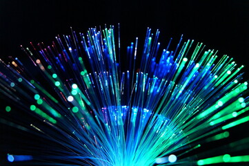 fiber optic