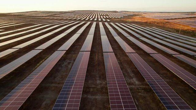 Massive solar plant at sunset. Hundreds of moving solar panels to provide clean energy. Talasol. Drone going backwards and up, revealing the solar plant.