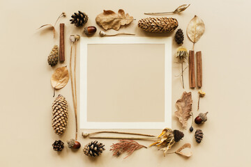 Autumn composition. Frame made of acorn, cone, dried leaves, dried flowers on pastel background. Autumn, fall concept. Flat lay, top view, copy space, square.
