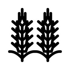 wheat ear icon or logo isolated sign symbol vector illustration - high quality black style vector icons
