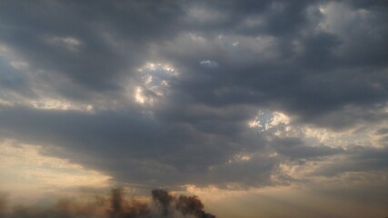 Naturaleza y medio ambiente 