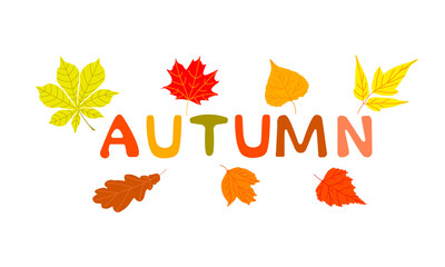 Decorative design composition with autumn lettering and leaves vector flat illustration. 