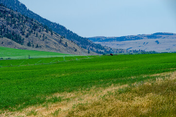 Fototapeta premium Country side of Canada, road trip