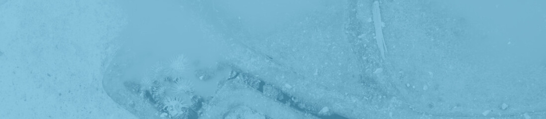 abstract dark blue color background for design