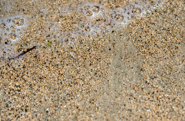 beach sand and sea foam