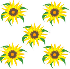 sunflowers