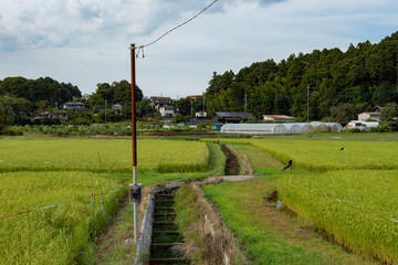 懐かしい田園風景