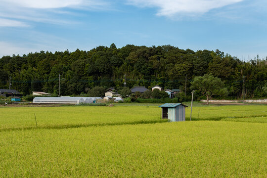 懐かしい風景 の画像 10 3 件の Stock 写真 ベクターおよびビデオ Adobe Stock 懐かしい風景 の画像 10 3 件の Stock 写真 ベクターおよびビデオ Adobe Stock