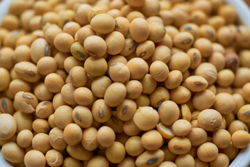 Macro shot of soybeans. Vegan food concept