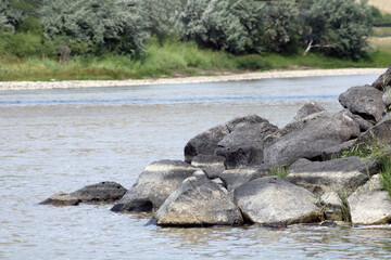 river rocks with trees