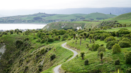Fototapeta na wymiar Coastal sea landscapes near Kaikoura on the South Island of New Zealand.