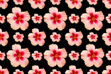 Hibiscus flower pattern on black background