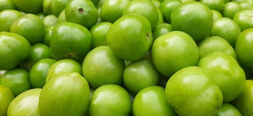 Green organic tomatoes in the garden after harvest