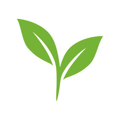 Fototapeta premium Green leaf logo