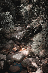 stream in the mountains