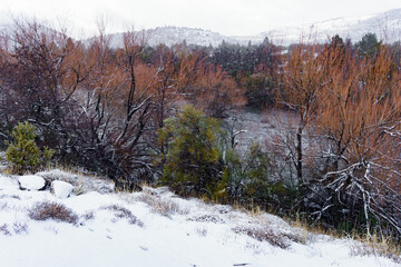 Patagonia típica
