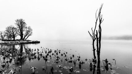 두물머리 흑백, 디자인 배경