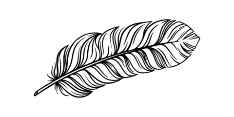 Bird feather for a quill. Tribal feather illustration for an ethnic decoration. Vector illustration isolated in white background © liu_miu