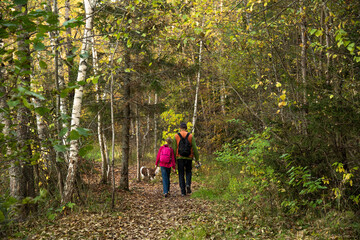 Family of tourists, daughter and father with dog walks along rural road covered with dry leaves in calm autumn forest on nice day backside view
