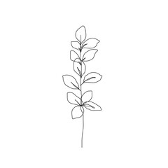 Fototapeta na wymiar Botanical Line Art Drawing of Simple Leaves Branch. Minimal Abstract Floral Modern Art Illustration. Minimal Botanical Flower One Line Drawing. Vector EPS 10