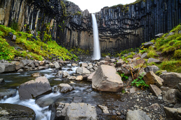 The popular Svartifoss waterfall and its basalt columns on the Skaftafellsheidi hiking trail loop....