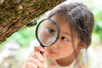 蝉を虫眼鏡で観察する少女