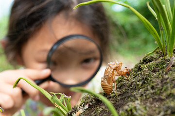 蝉の抜け殻を虫眼鏡で見る少女
