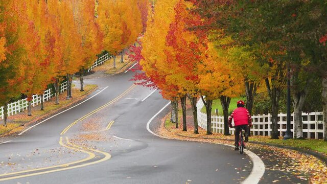 Senior man in red vest riding bicycle along the S Curve road with trees in autumn foliage, with zoom effect.