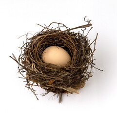 Bird nest isolated on white background.