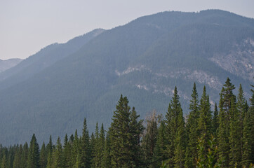 Bow River on a Smoky Morning