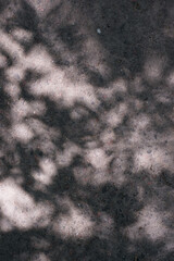 Abstract leaves  shadow background with light bokeh, natural leaves tree branch falling on texture for background and wallpaper, nature shadow.
