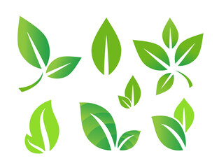 Leaf Icon, Green Leaves Symbol, Eco Sign, Simple Plant Silhouette