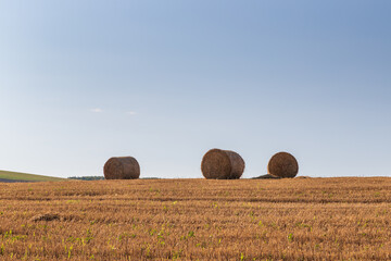 Landscape of a field on which are bales of straw after harvesting grain.