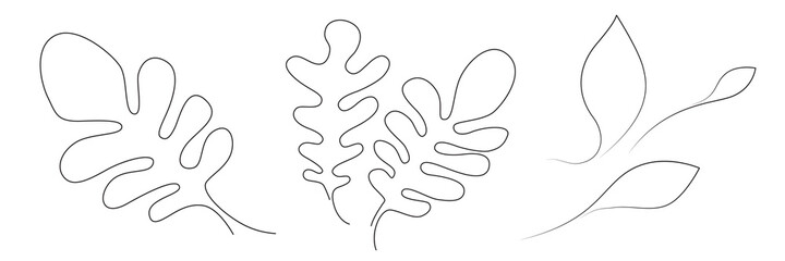 One Line Drawing Leaf. Minimal One Line Drawing