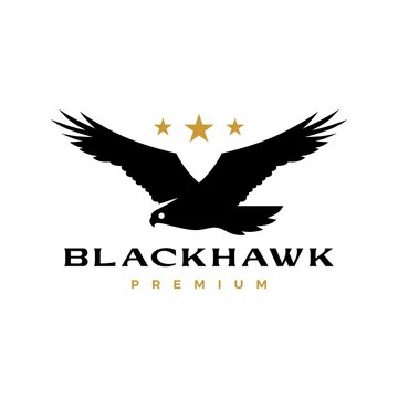 black hawk eagle flying roar star logo vector icon illustration