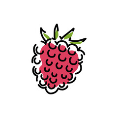 Juicy raspberry icon on a white background. Vector abstract illustration