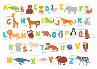 Obraz premium Bright children's alphabet with cute animals for education and a manual font. Vector poster with English letters of the alphabet on a white background in a flat style