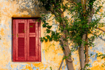 Fototapeta na wymiar Old mediterranean red window shutters and wall background with tree