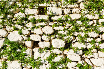 Wall of Old Stones and Grass Growing on the Stone Wall. Natural background