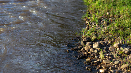 selective focus on small stones At the water's edge, there is a small green grass, the picture of nature gives a feeling of freshness, the view is low. There is space for text. nature wallpaper
