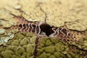 selective focus, old green leather seat surface Dry and cracked, you can see the fabric inside.
