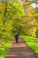 Elderly woman walking on a footpath in a autumn forest