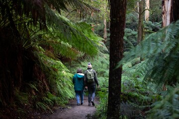 Bushwalk 