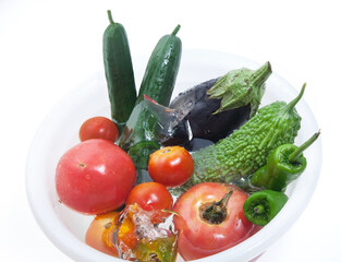 夏野菜　食材イメージ