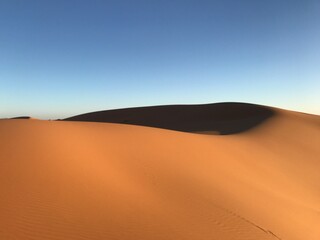 Fototapeta na wymiar the Sahara Desert